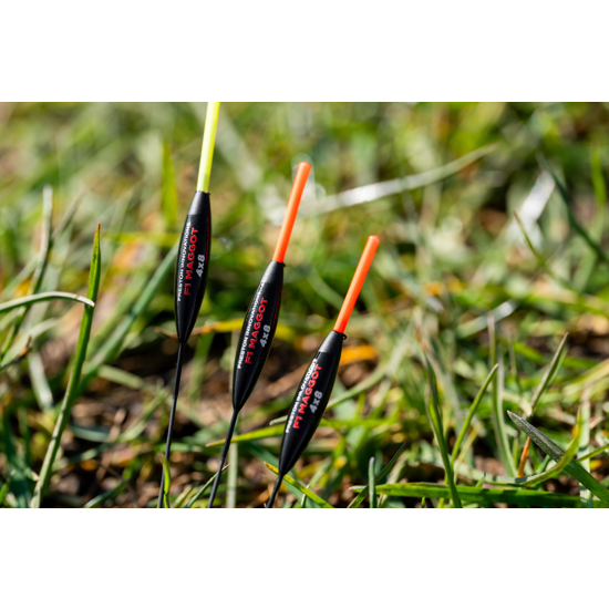 Pluta Preston - F1 Maggot 4x10